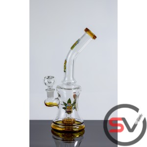 CURVED NECK RICK AND MORTY WATER PIPE 9inch